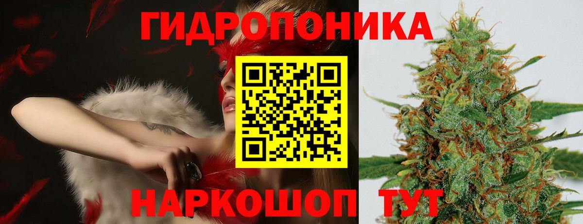 Рославль  Канабис конопля  Марихуана конопля  Канабис Bruce Banner  Вход с VPN  Каннабис MAZAR 